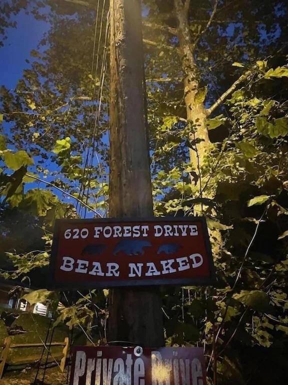 Bear Nakid Villa Пиджен Фордж Екстериор снимка